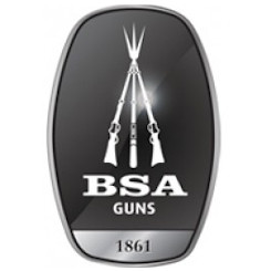 BSA - Logo
