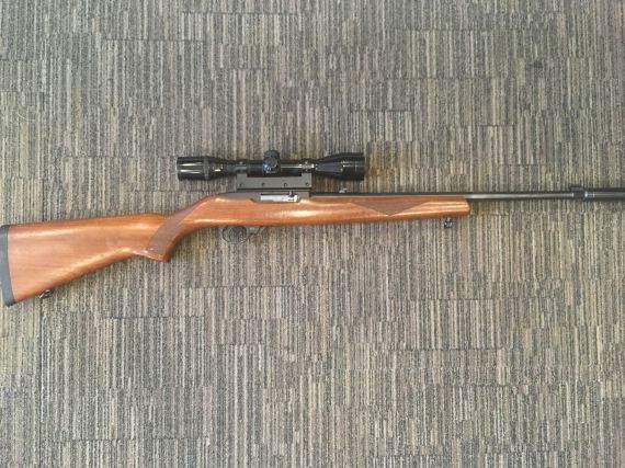 Ruger 10/22
