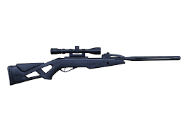 Gamo Whisper X Swarm